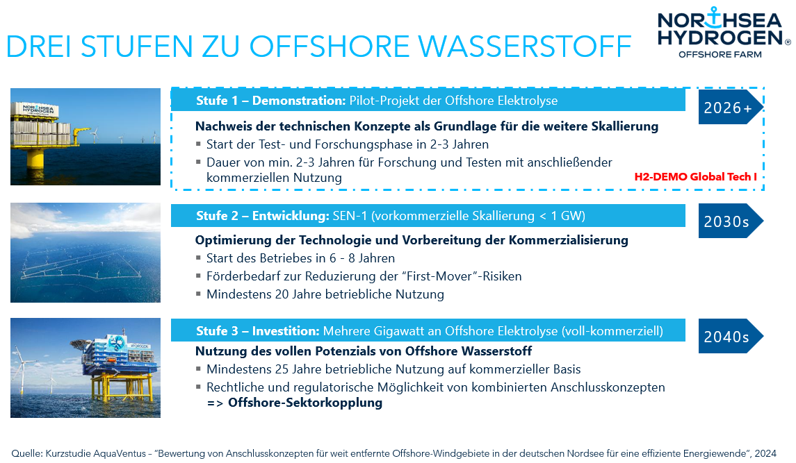 Project Development of Offshore Hydrogen Production Facilities (Offshore Electrolyzer)